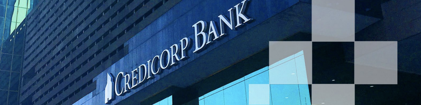 Financial Services Credit Card Company Case Study-1 Financial Services Credit Card Company Case Study-1
